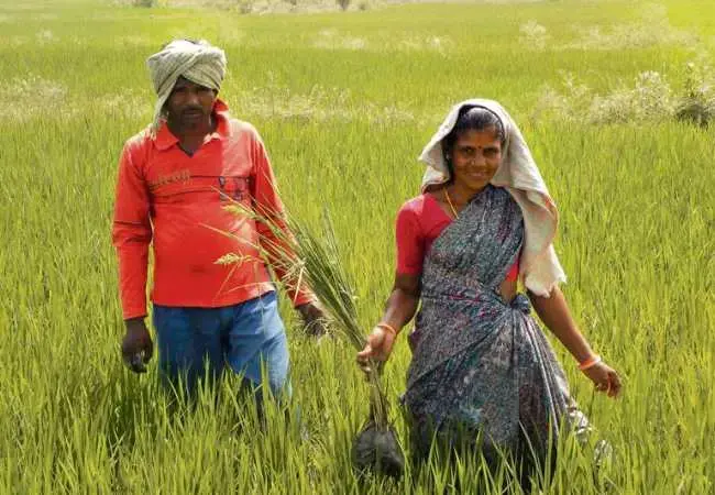 Farmers Development